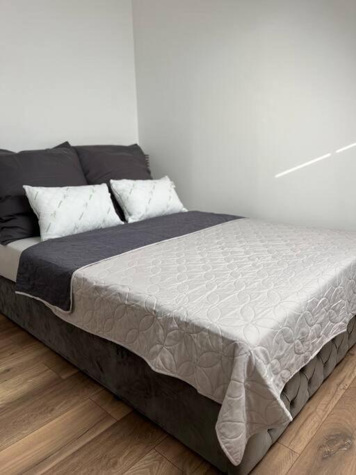 Willstaett Apartment 50M2 Buitenkant foto
